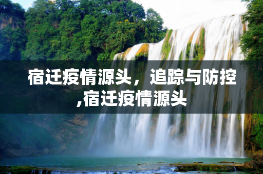 宿迁疫情源头，追踪与防控,宿迁疫情源头