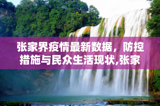 张家界疫情最新数据，防控措施与民众生活现状,张家界疫情最新数据