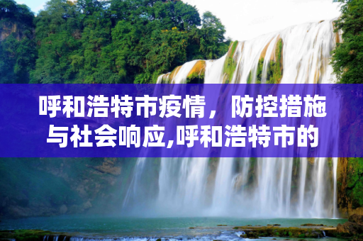 呼和浩特市疫情，防控措施与社会响应,呼和浩特市的疫情