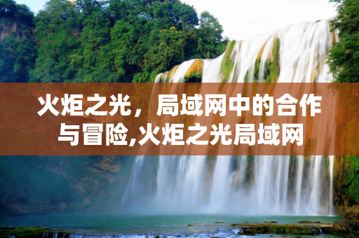 火炬之光，局域网中的合作与冒险,火炬之光局域网