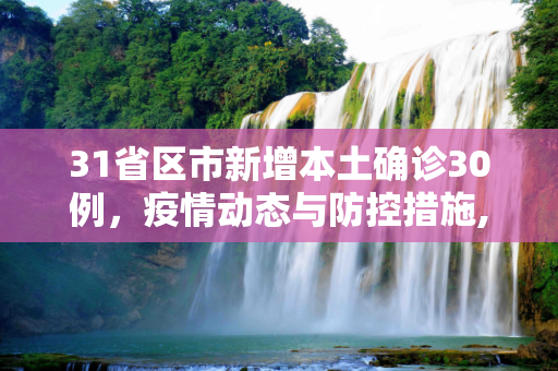 31省区市新增本土确诊30例，疫情动态与防控措施,31省区市新增本土确诊30例