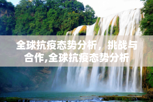 全球抗疫态势分析，挑战与合作,全球抗疫态势分析
