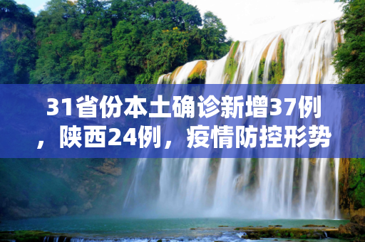 31省份本土确诊新增37例，陕西24例，疫情防控形势依然严峻,31省份新增本土确诊37例:陕西24例
