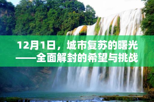 12月1日，城市复苏的曙光——全面解封的希望与挑战,12月1日全部解封
