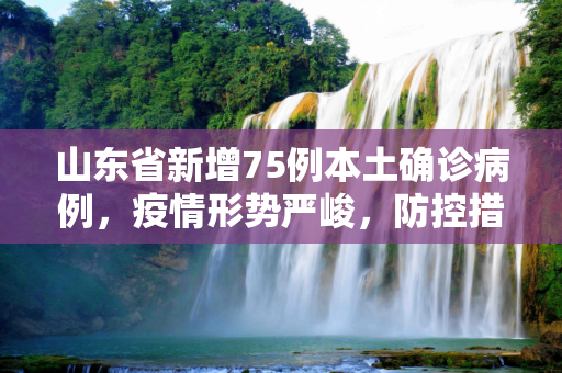 山东省新增75例本土确诊病例，疫情形势严峻，防控措施加强,山东新增75例本土确诊病例