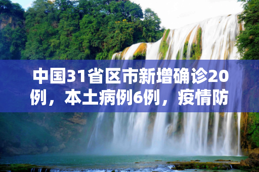 中国31省区市新增确诊20例，本土病例6例，疫情防控形势依旧严峻,31省区市新增确诊20例本土6例