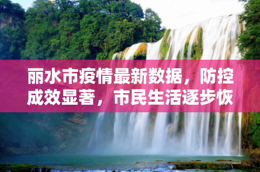 丽水市疫情最新数据，防控成效显著，市民生活逐步恢复,丽水疫情最新数据