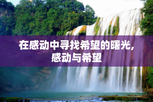 在感动中寻找希望的曙光,感动与希望