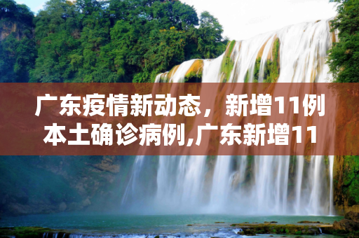 广东疫情新动态，新增11例本土确诊病例,广东新增11本土确诊