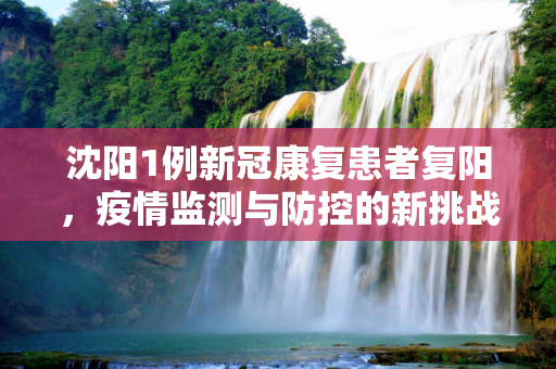 沈阳1例新冠康复患者复阳，疫情监测与防控的新挑战,沈阳1例新冠康复患者复阳