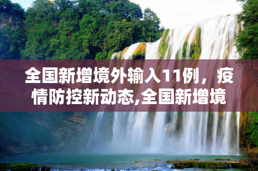 全国新增境外输入11例，疫情防控新动态,全国新增境外输入11例