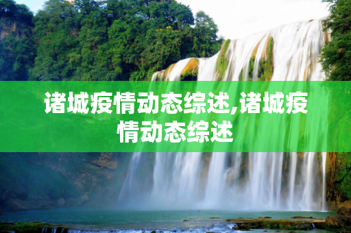 诸城疫情动态综述,诸城疫情动态综述