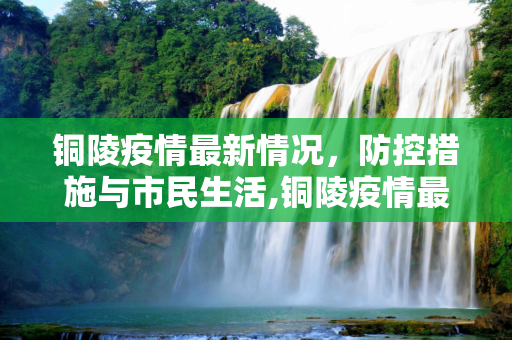 铜陵疫情最新情况，防控措施与市民生活,铜陵疫情最新情况