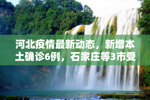 河北疫情最新动态，新增本土确诊6例，石家庄等3市受影响,河北新增本土确诊6例 分布在石家庄等3市