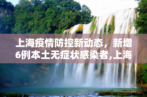 上海疫情防控新动态，新增6例本土无症状感染者,上海新增6例本土无症状