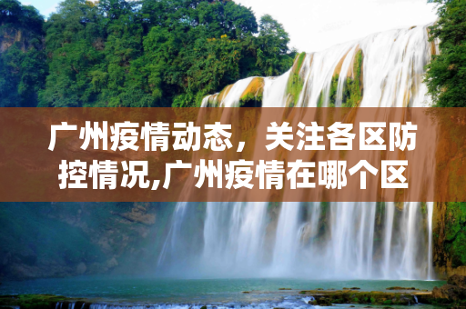 广州疫情动态，关注各区防控情况,广州疫情在哪个区