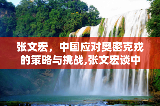 张文宏，中国应对奥密克戎的策略与挑战,张文宏谈中国应对奥密克戎