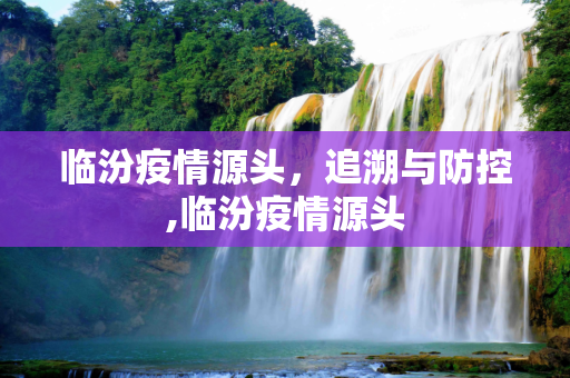 临汾疫情源头，追溯与防控,临汾疫情源头