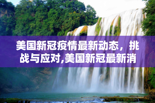 美国新冠疫情最新动态，挑战与应对,美国新冠最新消息