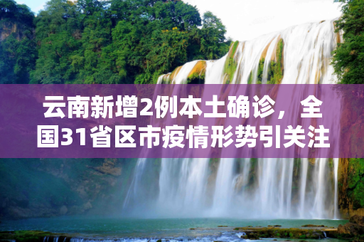 云南新增2例本土确诊，全国31省区市疫情形势引关注,31省区市新增本土确诊2例在云南