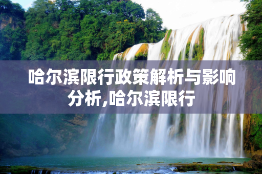 哈尔滨限行政策解析与影响分析,哈尔滨限行