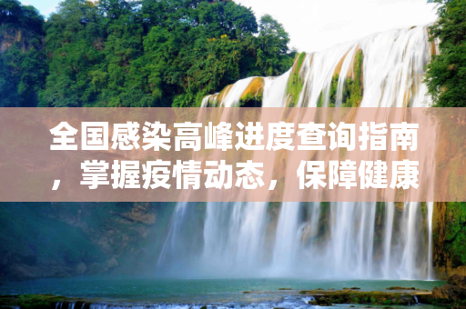 全国感染高峰进度查询指南，掌握疫情动态，保障健康安全,全国感染高峰进度怎么查