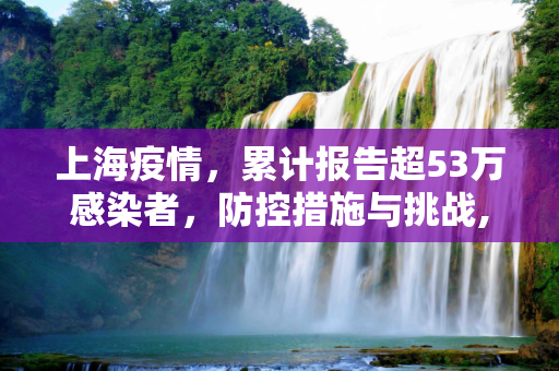 上海疫情，累计报告超53万感染者，防控措施与挑战,上海累计报告超53万感染者