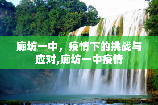 廊坊一中，疫情下的挑战与应对,廊坊一中疫情
