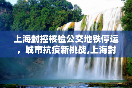 上海封控核检公交地铁停运，城市抗疫新挑战,上海封控核检公交地铁停运