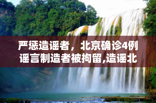 严惩造谣者，北京确诊4例谣言制造者被拘留,造谣北京确诊4例被拘