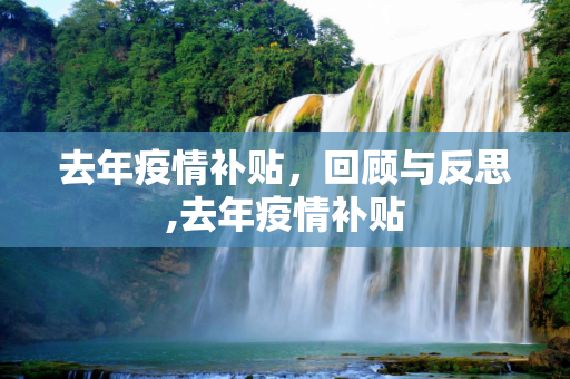 去年疫情补贴，回顾与反思,去年疫情补贴