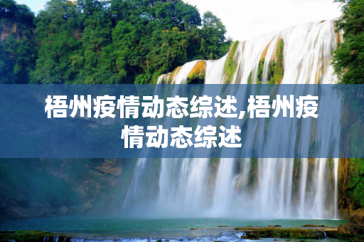 梧州疫情动态综述,梧州疫情动态综述