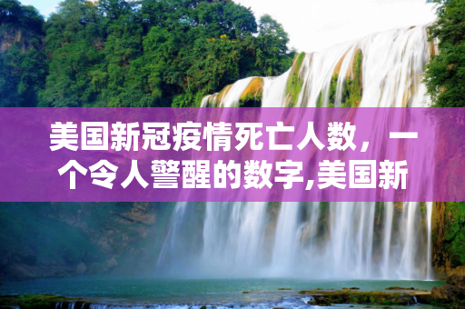美国新冠疫情死亡人数，一个令人警醒的数字,美国新冠疫情死亡人数