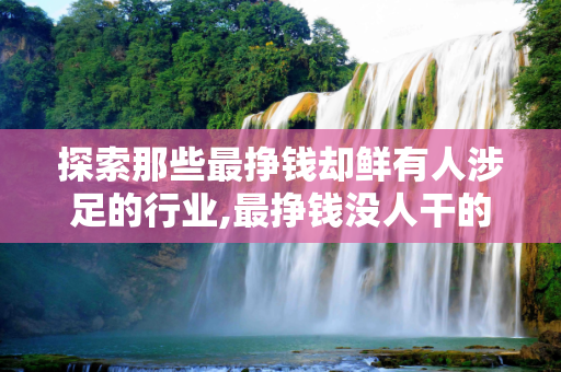 探索那些最挣钱却鲜有人涉足的行业,最挣钱没人干的行业