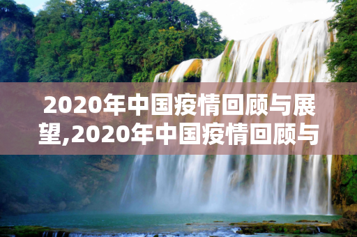 2020年中国疫情回顾与展望,2020年中国疫情回顾与展望