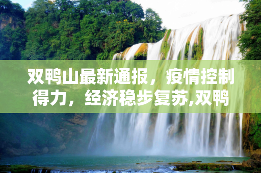 双鸭山最新通报，疫情控制得力，经济稳步复苏,双鸭山最新通报