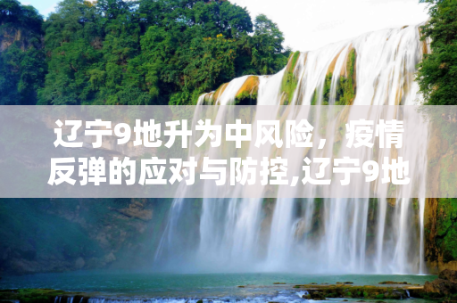 辽宁9地升为中风险，疫情反弹的应对与防控,辽宁9地升为中风险