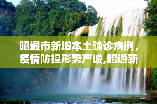 昭通市新增本土确诊病例，疫情防控形势严峻,昭通新增本土确诊