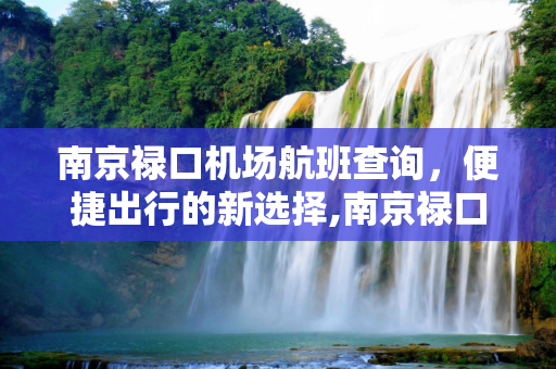 南京禄口机场航班查询，便捷出行的新选择,南京禄口机场航班查询