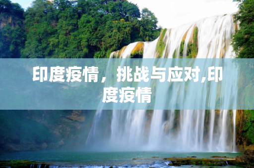 印度疫情，挑战与应对,印度疫情