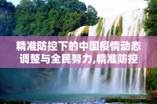 精准防控下的中国疫情动态调整与全民努力,精准防控下中国疫情动态调整与全民努力