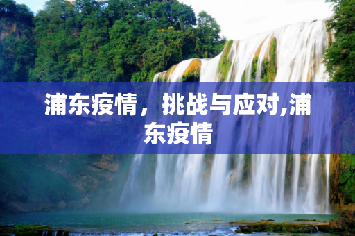 浦东疫情，挑战与应对,浦东疫情