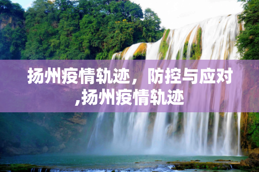 扬州疫情轨迹，防控与应对,扬州疫情轨迹