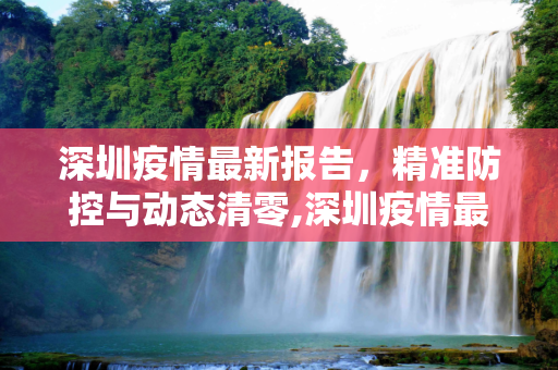 深圳疫情最新报告，精准防控与动态清零,深圳疫情最新报告