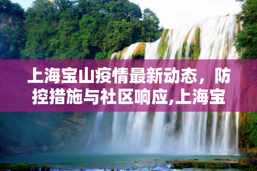 上海宝山疫情最新动态，防控措施与社区响应,上海宝山疫情最新消息