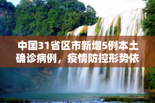 中国31省区市新增5例本土确诊病例，疫情防控形势依然严峻,31省区市新增5例本土确诊病例