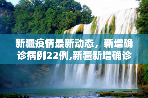 新疆疫情最新动态，新增确诊病例22例,新疆新增确诊病例22例