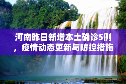 河南昨日新增本土确诊5例，疫情动态更新与防控措施,河南昨日新增本土确诊5例