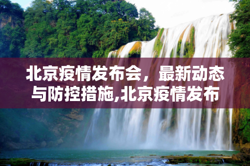北京疫情发布会，最新动态与防控措施,北京疫情发布会