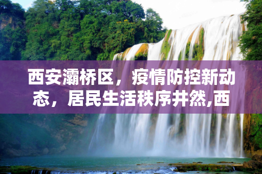 西安灞桥区，疫情防控新动态，居民生活秩序井然,西安灞桥最新新闻疫情
